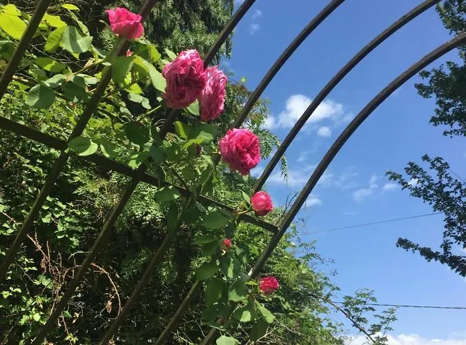 Le Mirabelle Bed & Breakfast